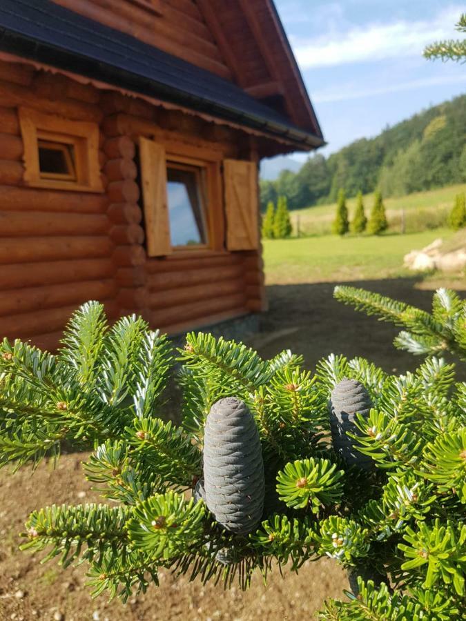 Chata Pod Sniezka Ściegny Exterior foto